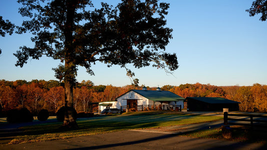 The Community of Craft Convenes