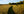 The Fields are Here