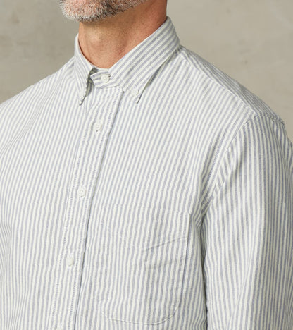 Brushed Fall Oxford - Navy Stripe